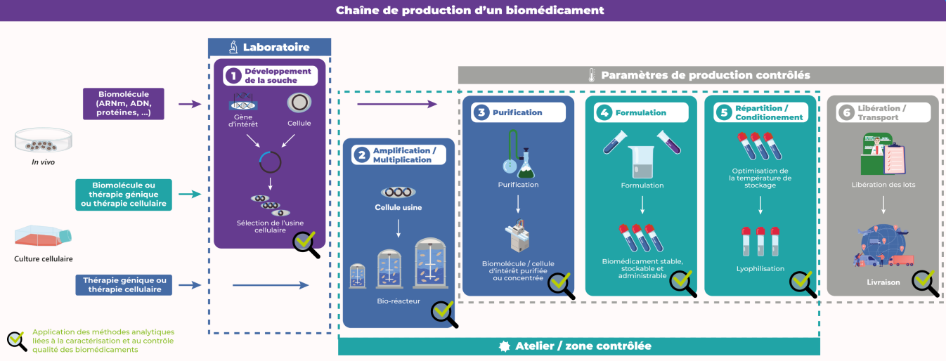 biotechnologie biotesting